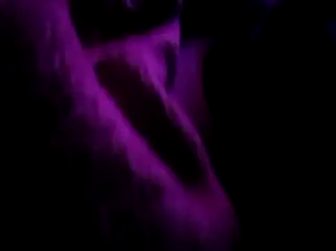 Snapshot of akram306 chatting on November 14, 2025, 11:24 pm akram306 online show from November 14, 2025, 11:24 pm