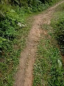 Snapshot of Cloud-wh chatting on February 24, 2026, 3:37 am Cloud-wh online show from February 24, 2026, 3:37 am