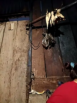 -Chua-90 online show from February 19, 2026, 11:12 pm