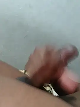 Snapshot of fpic chatting on February 5, 2026, 4:00 pm fpic online show from February 5, 2026, 4:00 pm