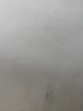 Snapshot of fpic chatting on February 7, 2026, 4:22 pm fpic online show from February 7, 2026, 4:22 pm