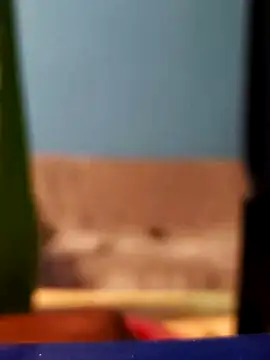 Snapshot of Roberto772 chatting on February 26, 2026, 3:38 am Roberto772 online show from February 26, 2026, 3:38 am