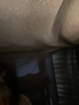 Nika-be online show from February 11, 2026, 3:44 am