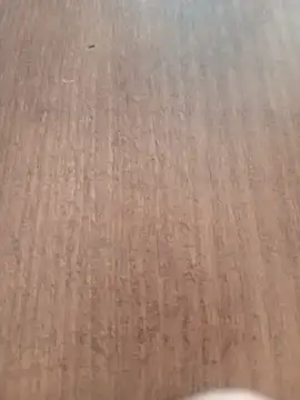 Snapshot of Kmali5465 chatting on February 11, 2026, 5:07 pm Kmali5465 online show from February 11, 2026, 5:07 pm