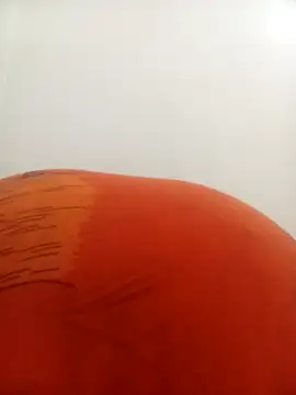 Snapshot of PatriciaVen chatting on February 9, 2026, 4:16 am PatriciaVen online show from February 9, 2026, 4:16 am