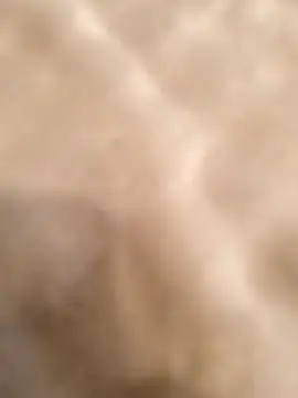 Snapshot of testmailx75 chatting on February 23, 2026, 9:23 pm testmailx75 online show from February 23, 2026, 9:23 pm