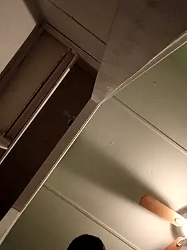 Snapshot of JoshingExegesis chatting on March 1, 2026, 4:14 am JoshingExegesis online show from March 1, 2026, 4:14 am