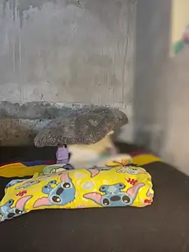 Iam AlexandraRey online show from February 3, 2026, 7:02 am