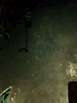 Snapshot of Hoa-tuylip chatting on February 13, 2026, 1:29 pm Hoa-tuylip online show from February 13, 2026, 1:29 pm