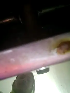 khushi rawat online show from February 12, 2026, 2:17 am