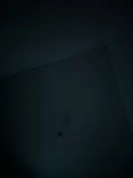 Snapshot of dominick_fran chatting on February 11, 2026, 11:10 pm dominick fran online show from February 11, 2026, 11:10 pm