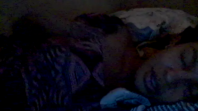 Snapshot of lorraine2036 chatting on February 17, 2026, 2:57 pm lorraine2036 online show from February 17, 2026, 2:57 pm