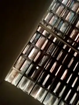 Snapshot of lorraine2036 chatting on February 22, 2026, 9:52 am lorraine2036 online show from February 22, 2026, 9:52 am