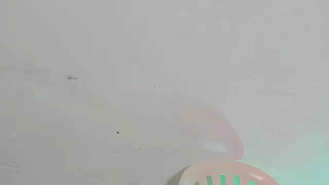 Snapshot of Emely_pregnantt chatting on February 13, 2026, 4:03 pm Emely pregnantt online show from February 13, 2026, 4:03 pm