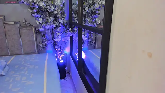 Snapshot of Nalapalmer chatting on February 7, 2026, 7:39 pm Nalapalmer online show from February 7, 2026, 7:39 pm