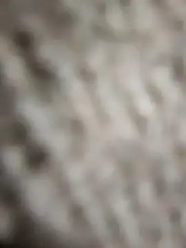 Flexxxo09 online show from February 4, 2026, 2:01 pm