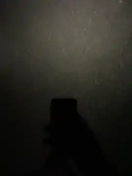 Snapshot of stallone_italiano_62 chatting on February 11, 2026, 8:47 pm stallone italiano 62 online show from February 11, 2026, 8:47 pm