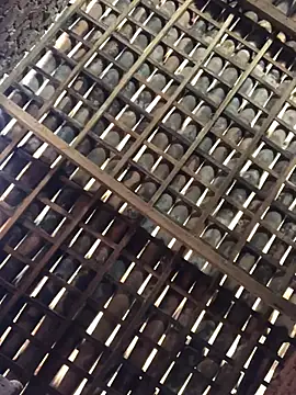 Snapshot of novinhavip777 chatting on February 9, 2026, 2:10 pm novinhavip777 online show from February 9, 2026, 2:10 pm