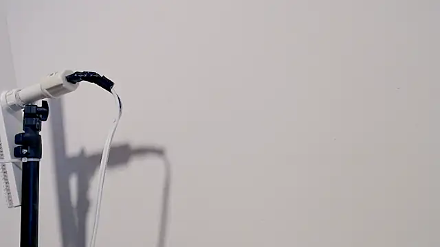 Snapshot of MARYXS1 chatting on February 24, 2026, 12:58 pm MARYXS1 online show from February 24, 2026, 12:58 pm