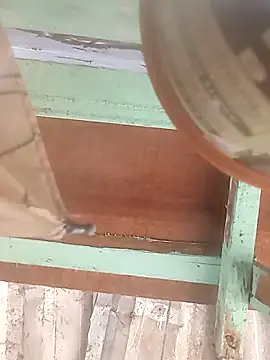 Snapshot of euchapo99 chatting on February 19, 2026, 1:51 pm euchapo99 online show from February 19, 2026, 1:51 pm