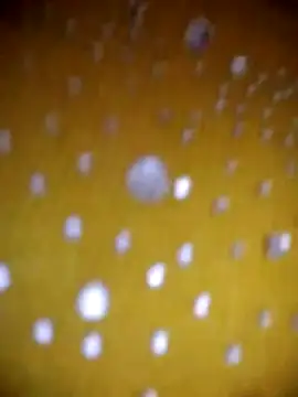 Vycute9900 online show from March 1, 2026, 1:02 pm