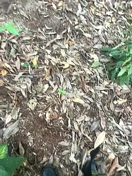 bibedro online show from February 28, 2026, 9:16 pm