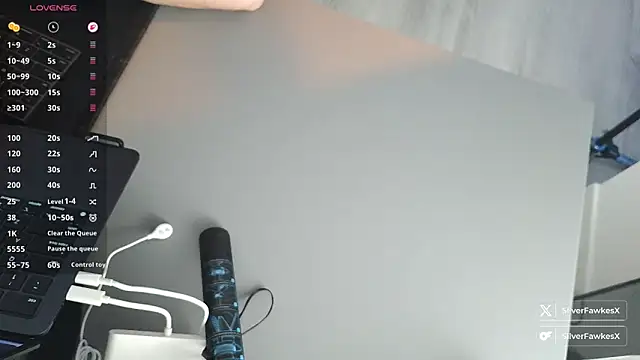 Snapshot of silverfawkesx chatting on March 2, 2026, 10:05 pm silverfawkesx online show from March 2, 2026, 10:05 pm