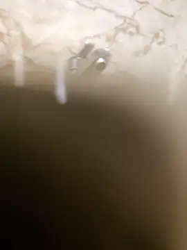 Snapshot of OBengaliBabuO chatting on March 16, 2025, 12:34 am OBengaliBabuO online show from March 16, 2025, 12:34 am