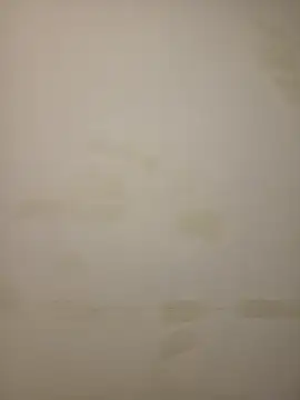 Adivaaa online show from February 12, 2026, 10:54 am