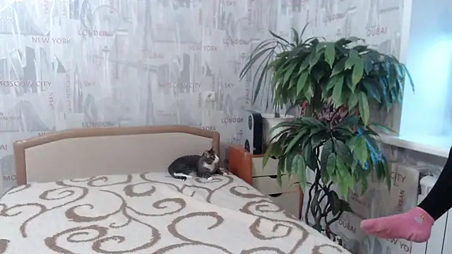 Snapshot of GinaQSoul chatting on February 20, 2026, 11:22 am GinaQSoul online show from February 20, 2026, 11:22 am