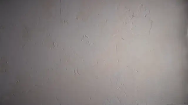 Snapshot of pinkgirls18 chatting on February 10, 2026, 10:08 am pinkgirls18 online show from February 10, 2026, 10:08 am