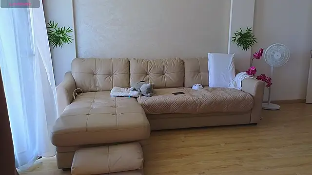 Rabbits couplee online show from September 11, 2025, 10:04 am