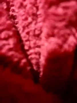 Snapshot of modelo38528061 chatting on December 14, 2024, 1:49 pm modelo38528061 online show from December 14, 2024, 1:49 pm