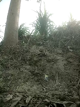 FinableKnee online show from October 15, 2025, 4:01 am