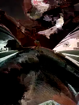 FinableKnee online show from November 17, 2025, 3:56 am