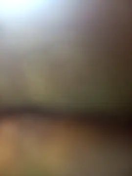 FinableKnee online show from November 27, 2025, 5:31 am