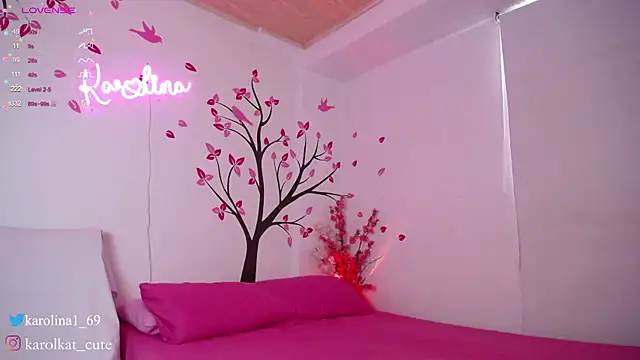 Snapshot of Karolina_1 chatting on January 27, 2025, 4:22 pm Karolina 1 online show from January 27, 2025, 4:22 pm