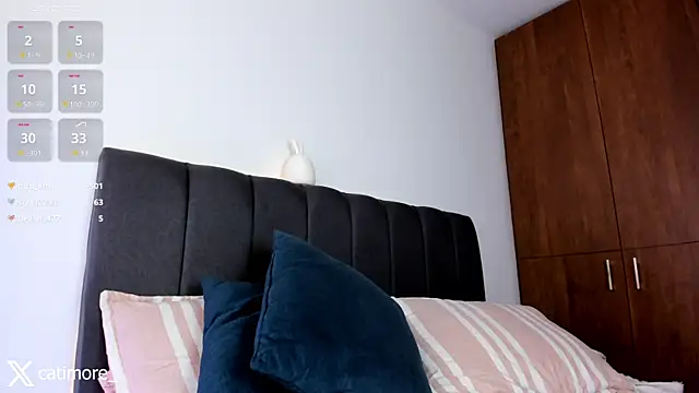 Snapshot of catimore chatting on January 29, 2025, 5:35 pm catimore online show from January 29, 2025, 5:35 pm