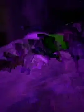 Snapshot of Themechanic420 chatting on February 1, 2026, 2:37 pm Themechanic420 online show from February 1, 2026, 2:37 pm