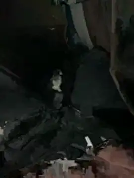 Snapshot of prekumstud chatting on February 20, 2026, 11:43 am prekumstud online show from February 20, 2026, 11:43 am