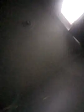 Snapshot of kevin613603 chatting on February 1, 2026, 10:47 am kevin613603 online show from February 1, 2026, 10:47 am