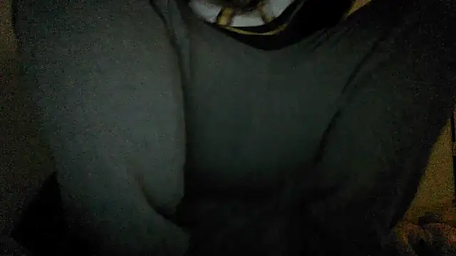 GeilerBull online show from November 12, 2025, 2:01 am