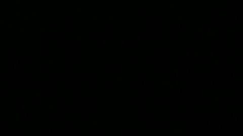 Peter online show from December 16, 2025, 9:53 pm