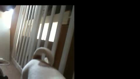 Snapshot of 10mm_socket chatting on February 11, 2026, 6:07 am 10mm_socket online show from February 11, 2026, 6:07 am