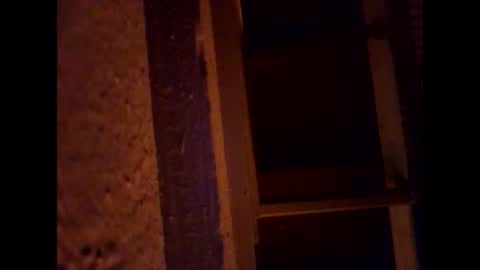 1st___ online show from March 1, 2026, 5:53 am