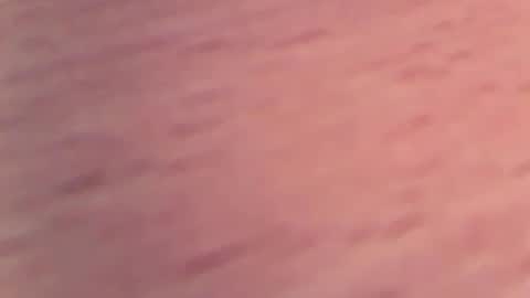 1vaso online show from February 4, 2025, 5:55 pm