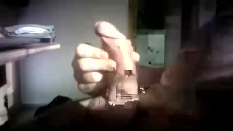 28wombat12 online show from November 30, 2025, 11:25 am