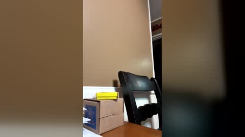 33adidas online show from December 23, 2025, 9:07 am