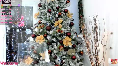 Snapshot of 3lla_rose chatting on December 24, 2024, 8:05 pm Ella online show from December 24, 2024, 8:05 pm