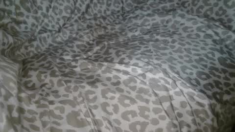 Snapshot of 3rdshiftphil chatting on September 23, 2025, 1:41 am Phil online show from September 23, 2025, 1:41 am